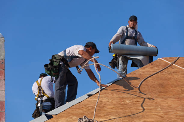 Best Roof Gutter Cleaning  in Bethany, OR